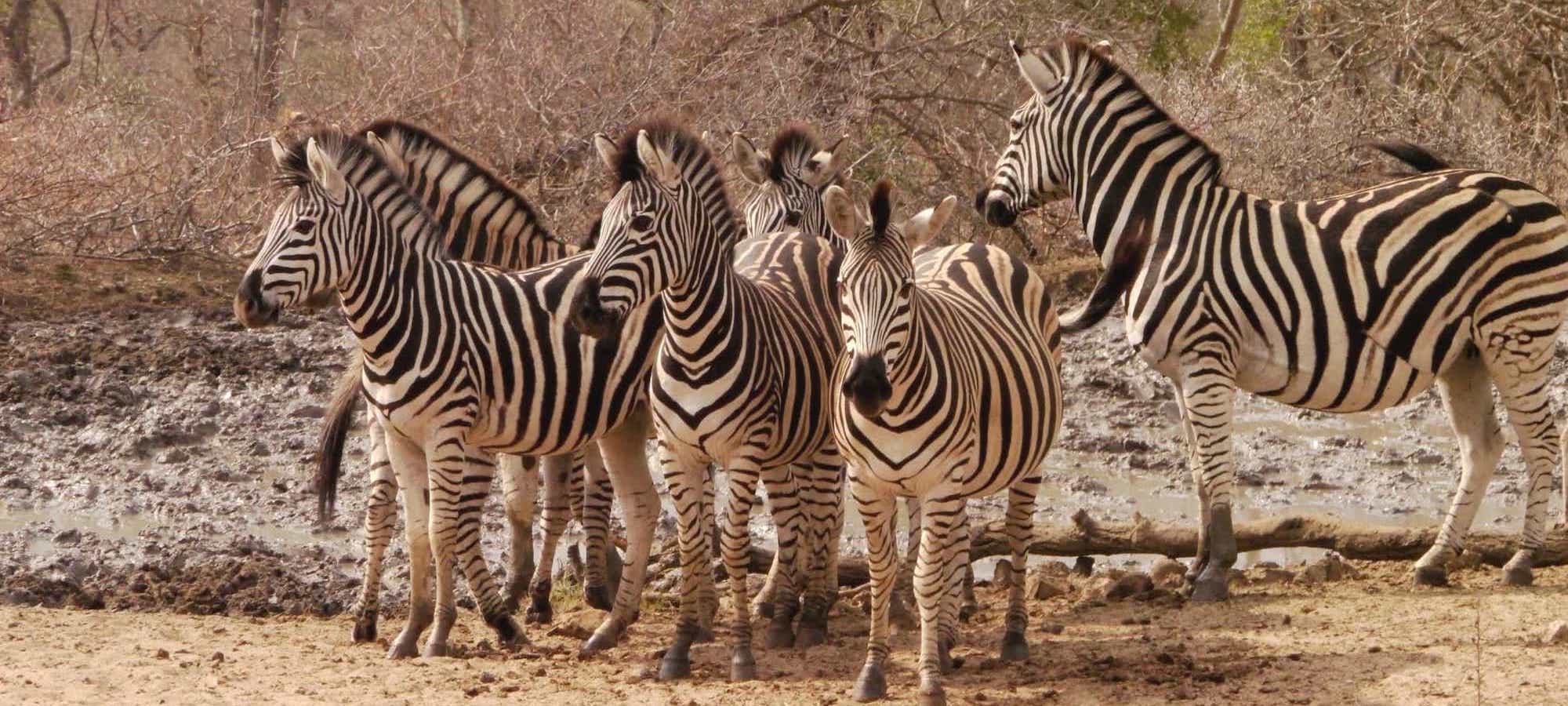 Garden Tours and Nature Tours