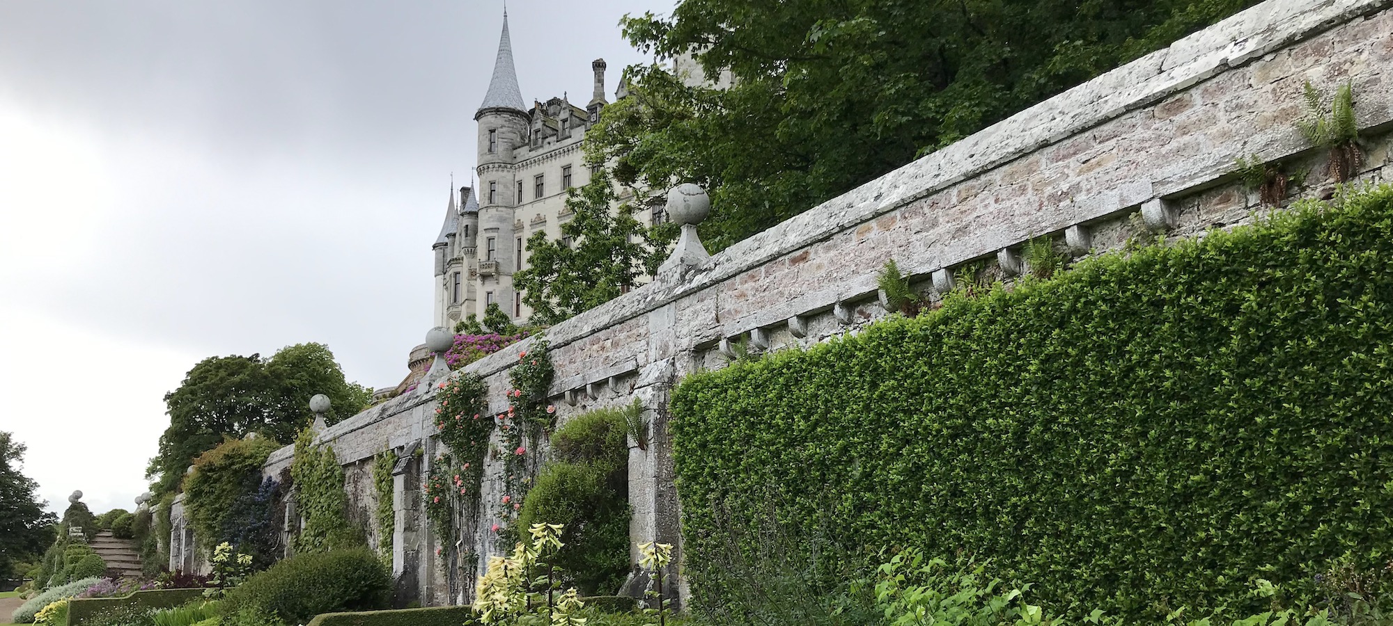 Garden Tours and Nature Tours