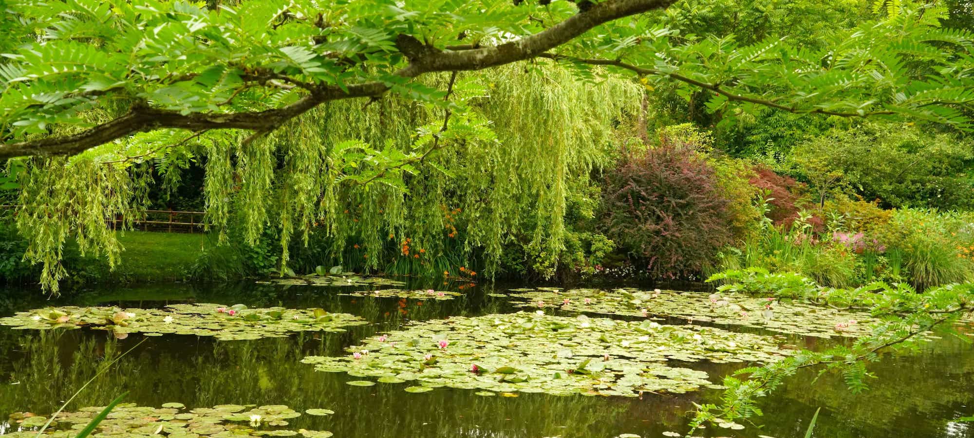 Garden Tours and Nature Tours