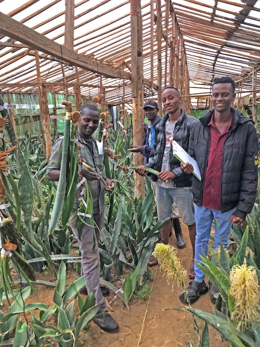 Charleston and Savannah Garden Tour