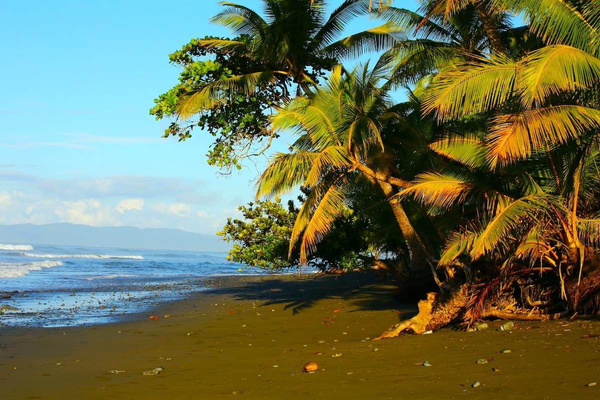 Costa Rica Garden Tours